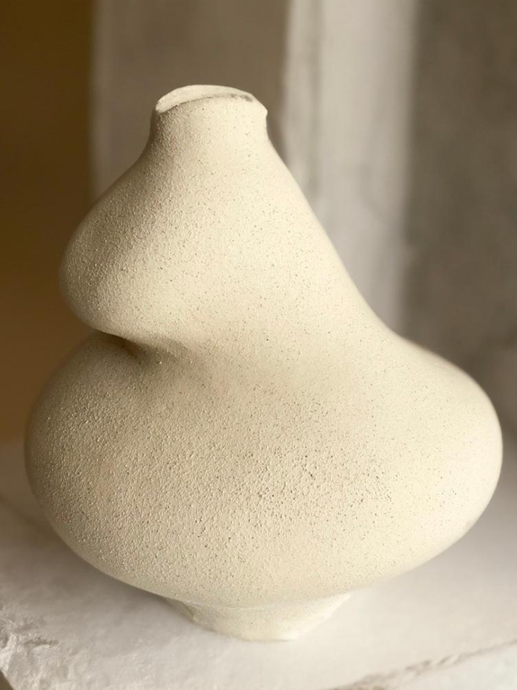 ANI VESSEL